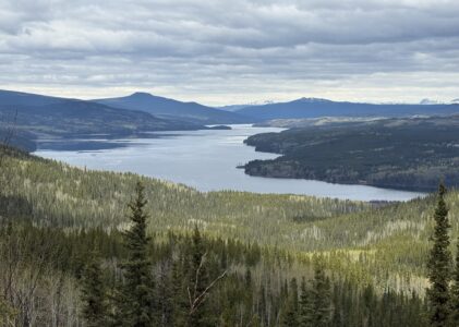 Dease Lake Accommodations Including the Upper Stikine in 2026