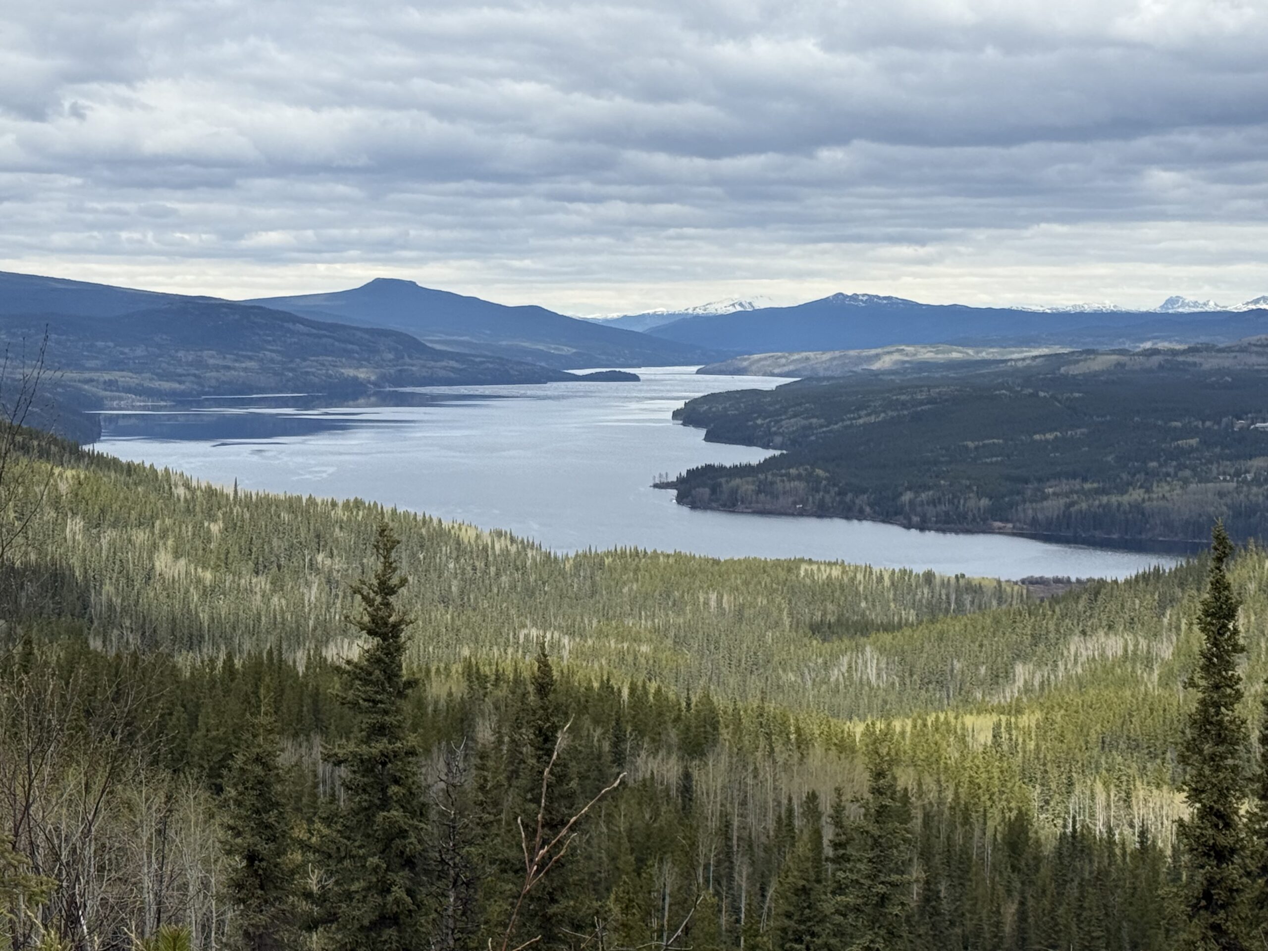 Dease Lake Accommodations Including the Upper Stikine in 2026
